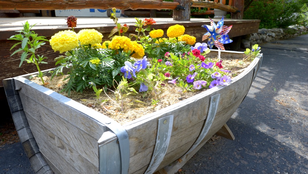 Barrel of Flowers